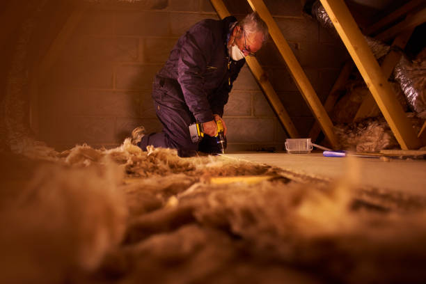 Best Blown-In Insulation  in Kingston, NY